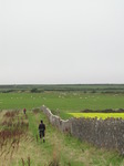 SX08089 Kristina and Wouko walking by field wall.jpg